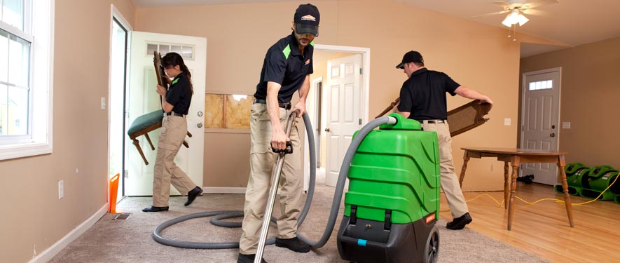 La Canada-Flintridge, CA cleaning services