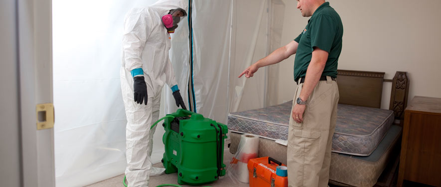 La Canada-Flintridge, CA mold removal process